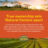 Natural Factors Complejo B de Alta Potencia, certificado por terceros ISURA para pureza.