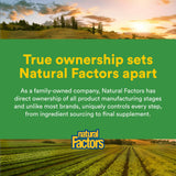 Natural Factors Curcuma Bromelina, caja de embalaje, diseño informativo.