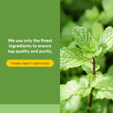 Natural Factors fórmula para confort digestivo durante comidas