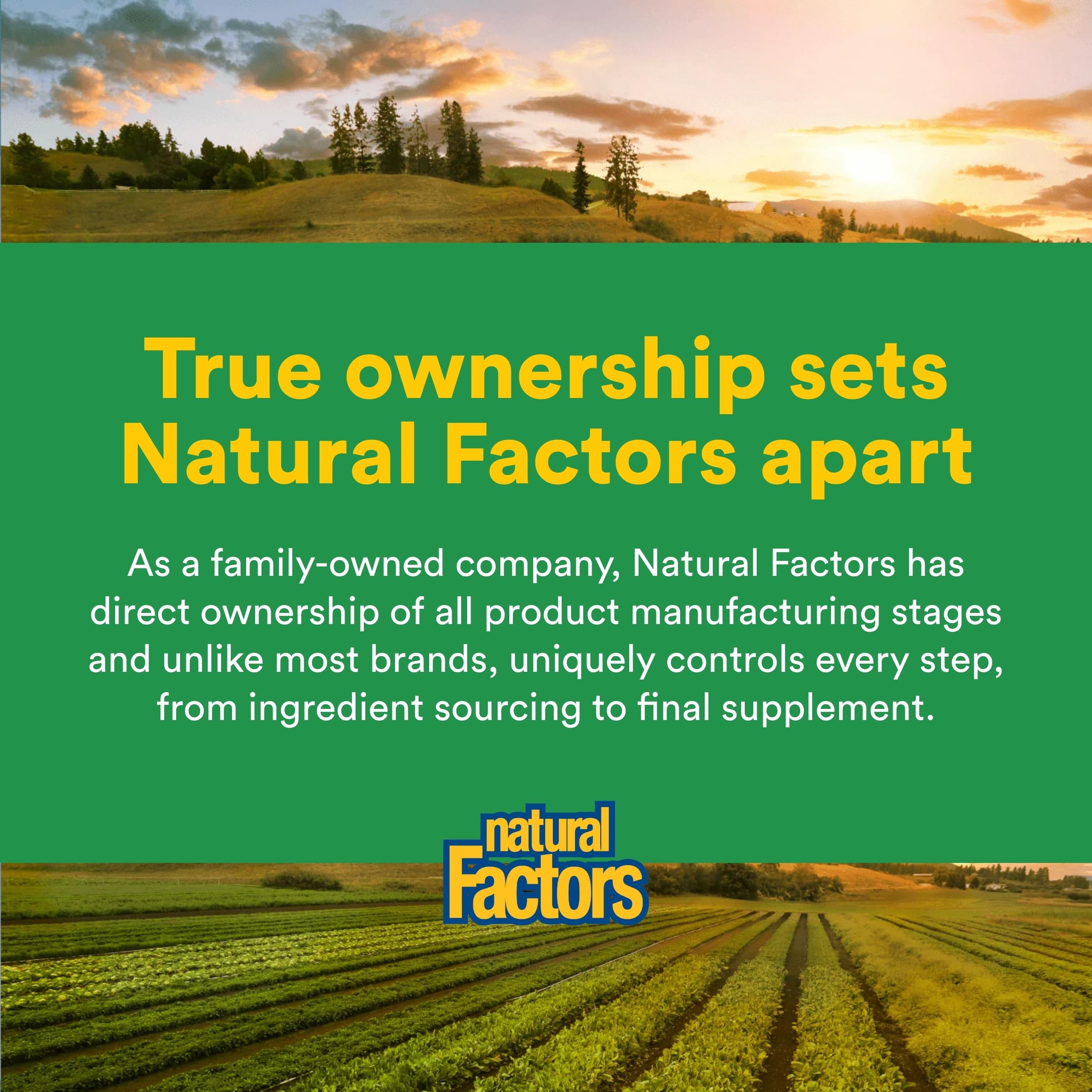 Natural Factors Energize Adrenal Boost: empaque sostenible y certificado de calidad.