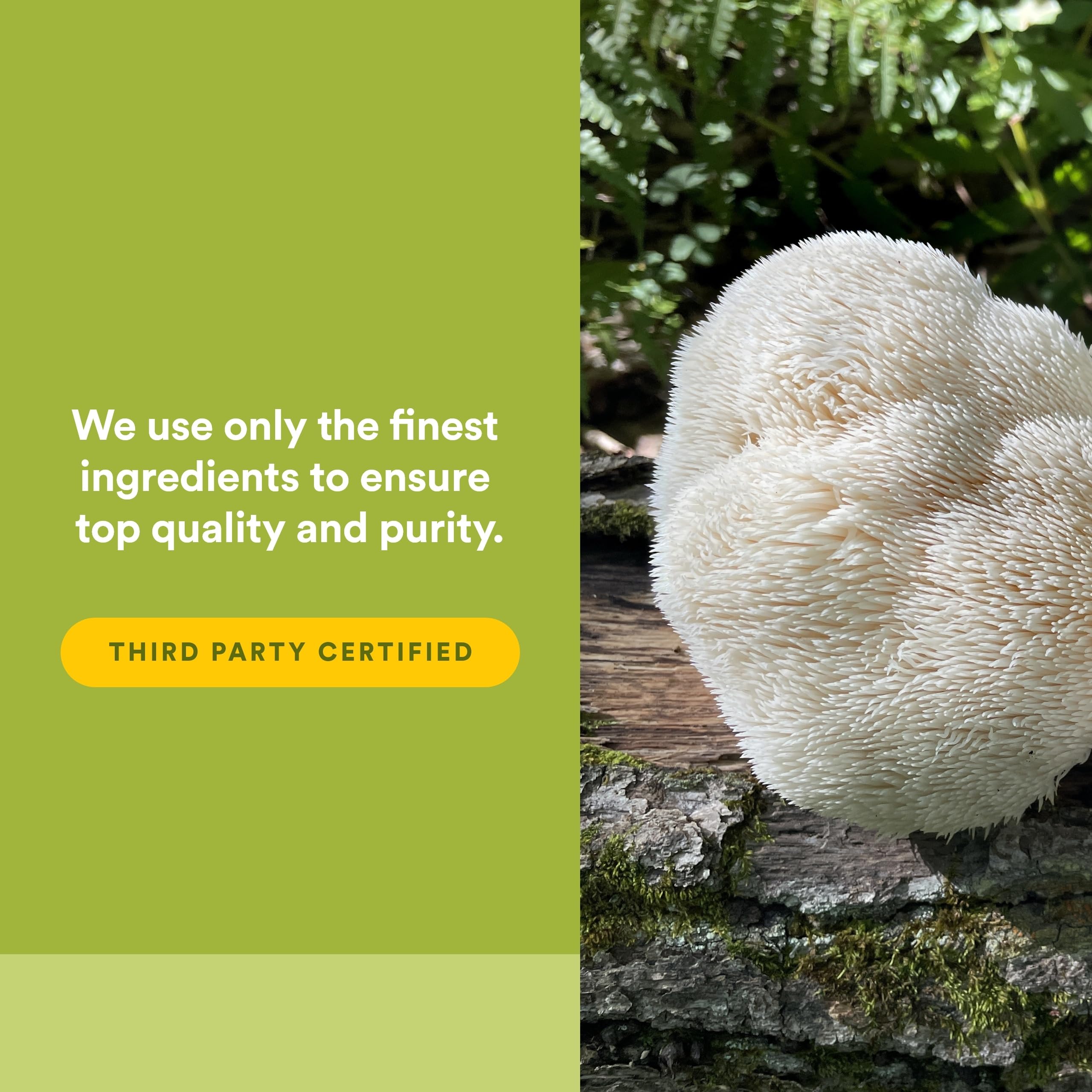 Farm Fresh Factors: ingredientes de granja certificados para salud natural