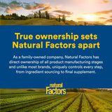 Natural Factors L-Lisina, uso diario recomendado para apoyo general.
