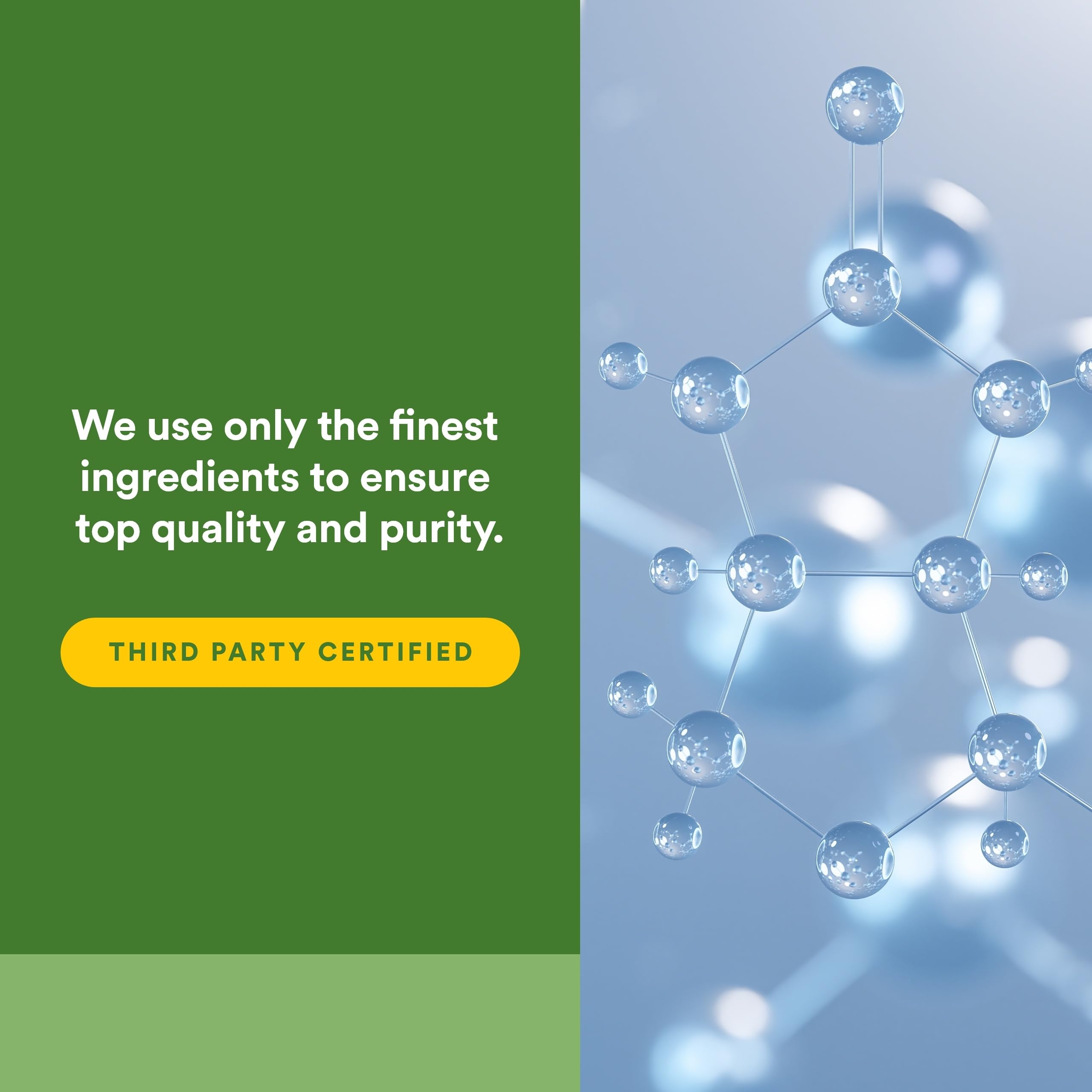 Natural Factors Lactasa Enzyme sin OMG: fórmula libre de organismos modificados