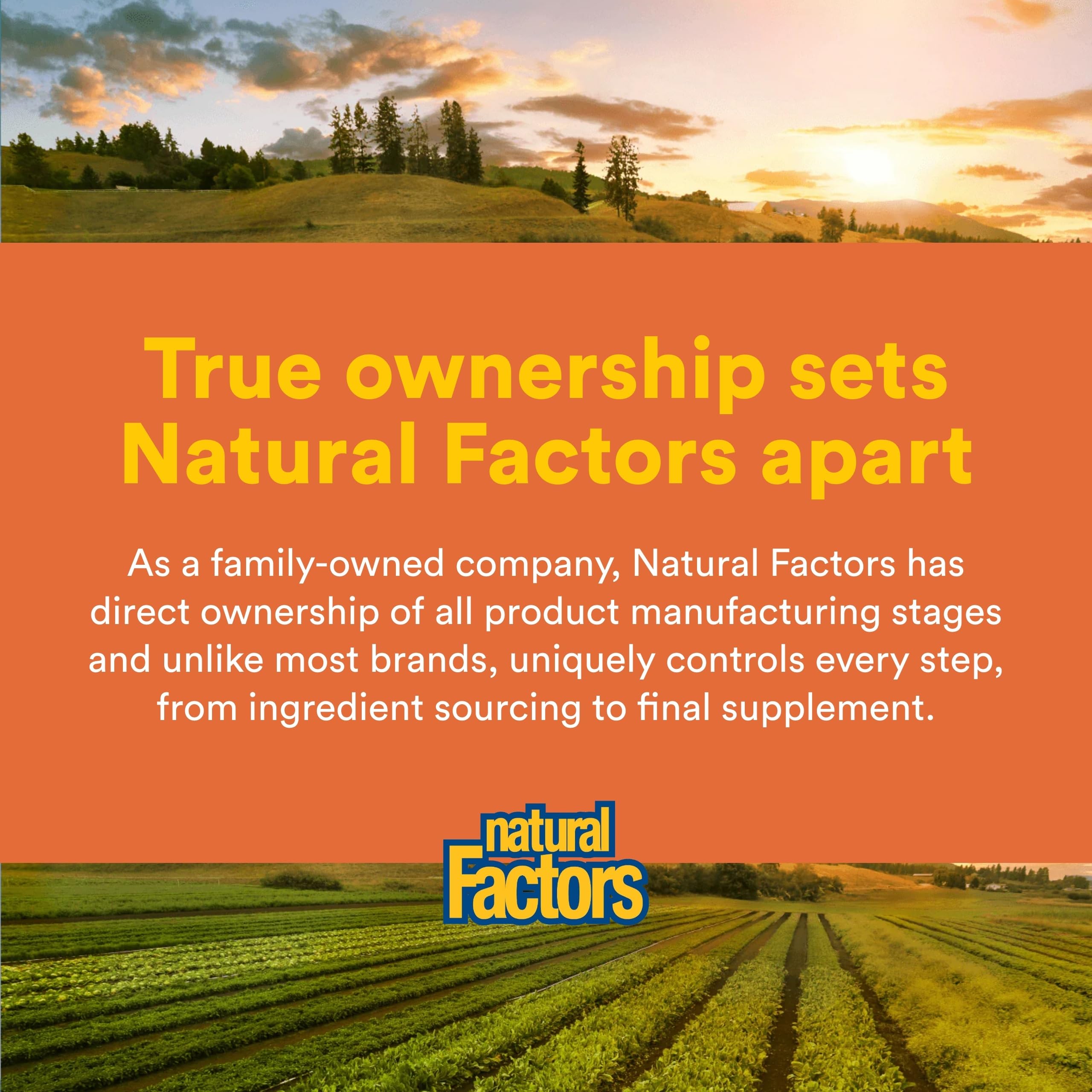 Natural Factors mezcla fácil para batidos con sabor naranja.