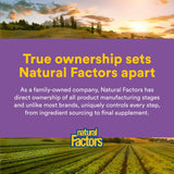 Natural Factors Mind Retreat: ingredientes clave como melisa y GABA para calma.