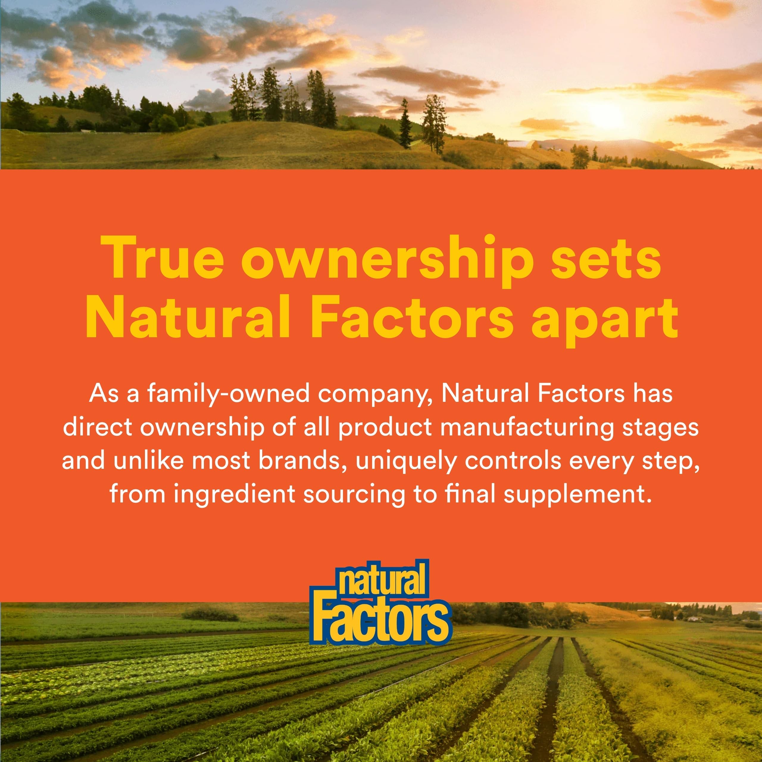 Natural Factors MSM envase seguro: cómodo para guardarlo en cualquier lugar