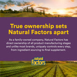Natural Factors Nattokinase: envase práctico para almacenamiento y uso diario