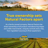 Natural Factors Omega Factors: bote en cocina, fácil de almacenar