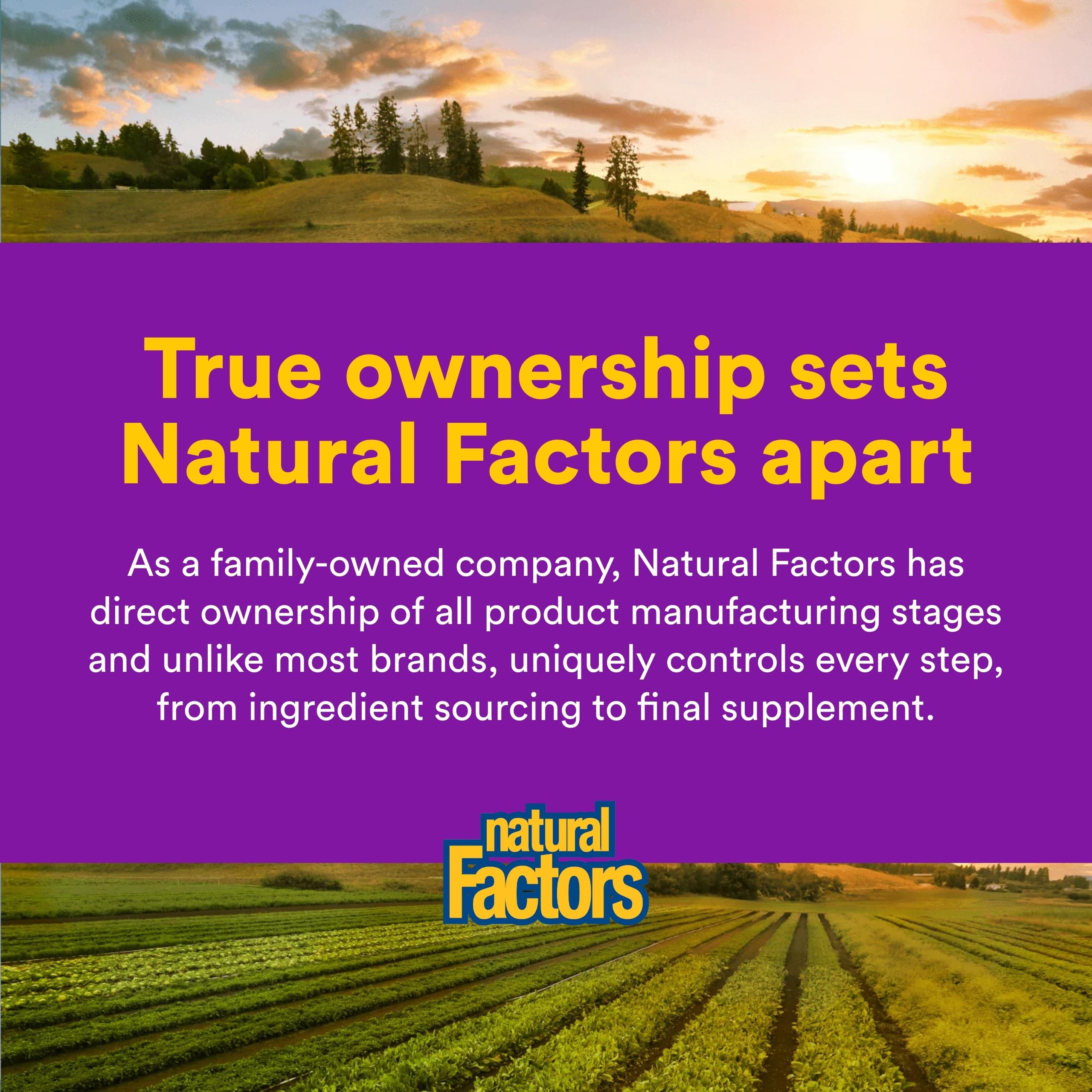 Natural Factors OsteoMove dosis diaria de dos tabletas