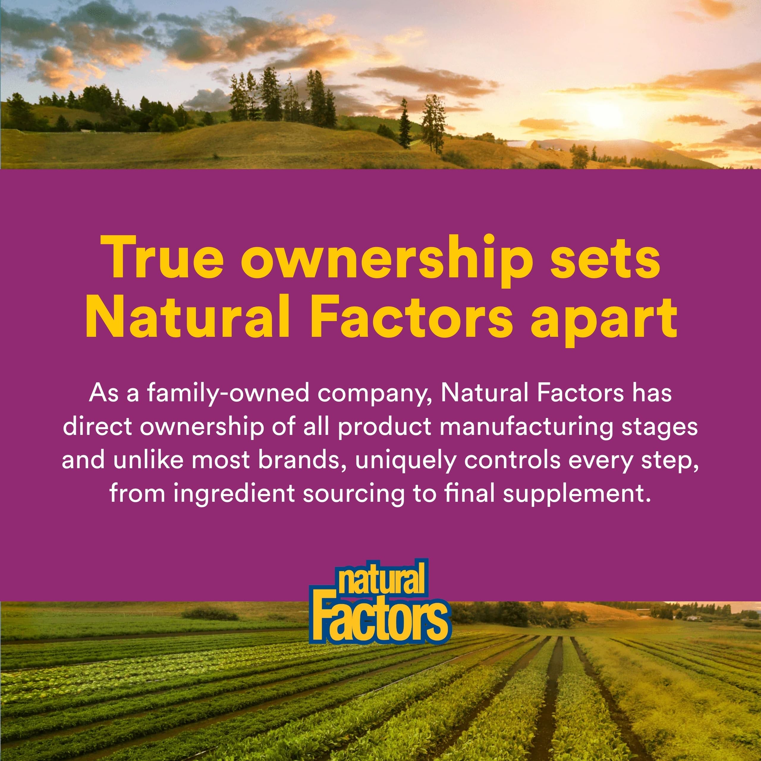 Natural Factors Pantetina, forma coenzimática para mejor absorción