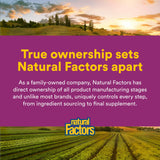 Natural Factors Pantetina, forma coenzimática para mejor absorción