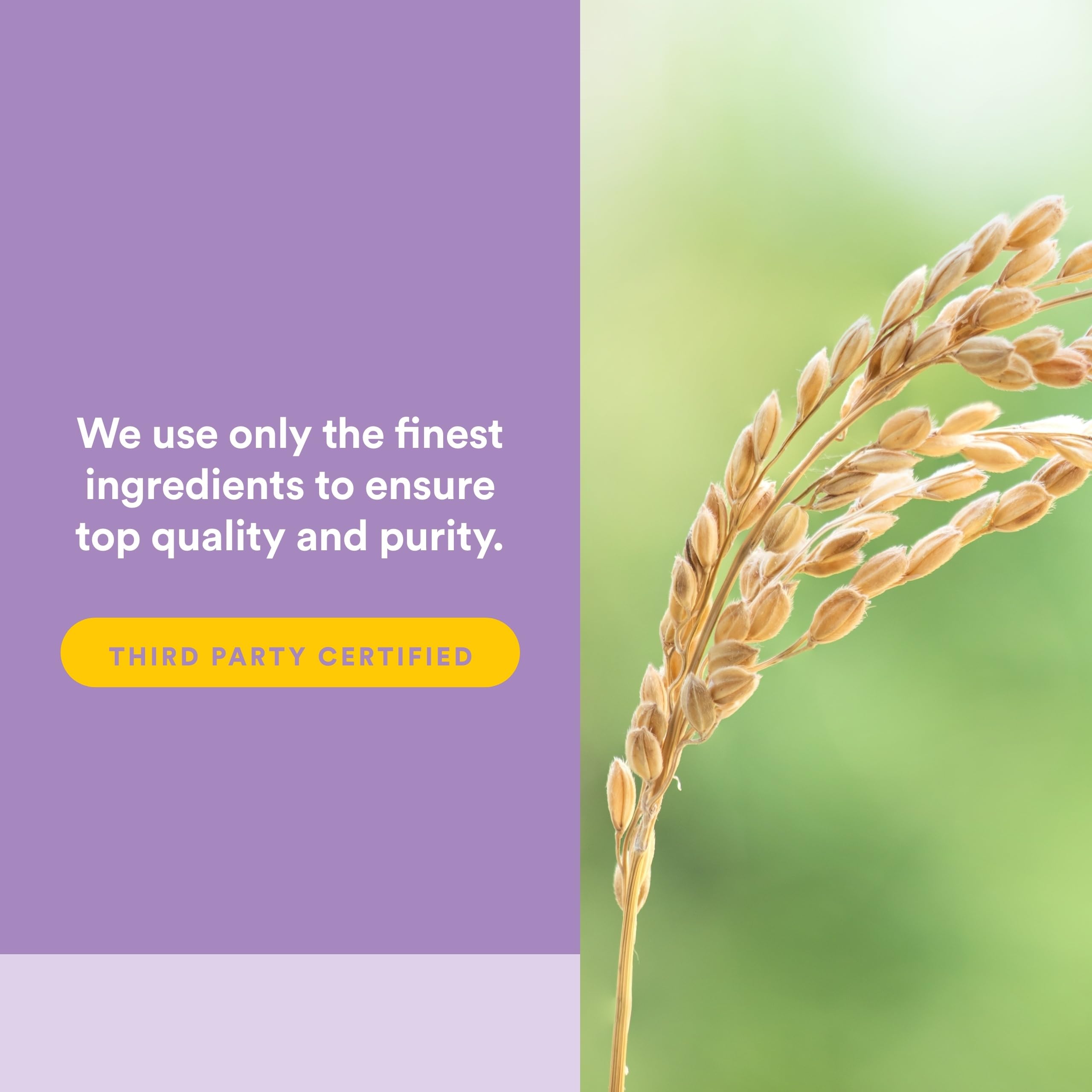 Natural Factors Pharma GABA, dosis diaria, ayuda rápida gracias a absorción intestinal.