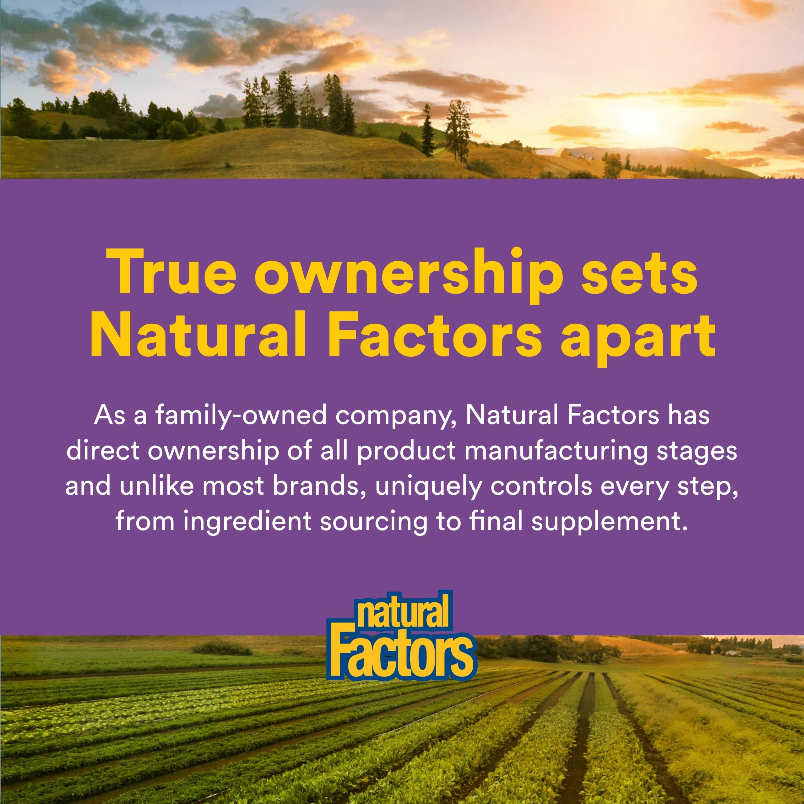 Natural Factors Pharma GABA tableta en mano para consumo diario