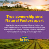Natural Factors Pharma GABA tableta en mano para consumo diario