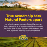 Caja de Natural Factors con apio concentrado y cápsulas