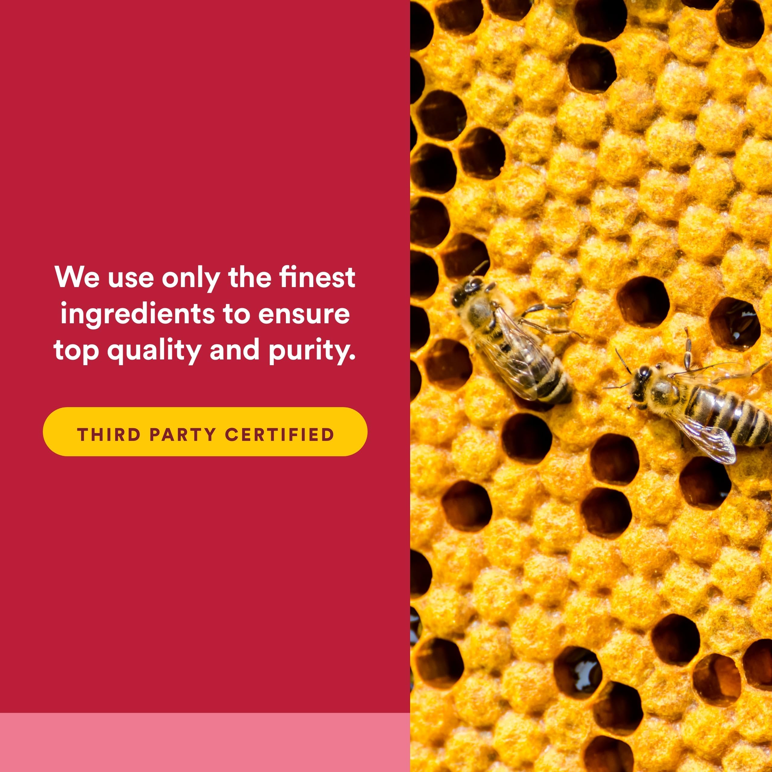Natural Factors Propolis Uso Diario: ideal durante temporadas de cambios.