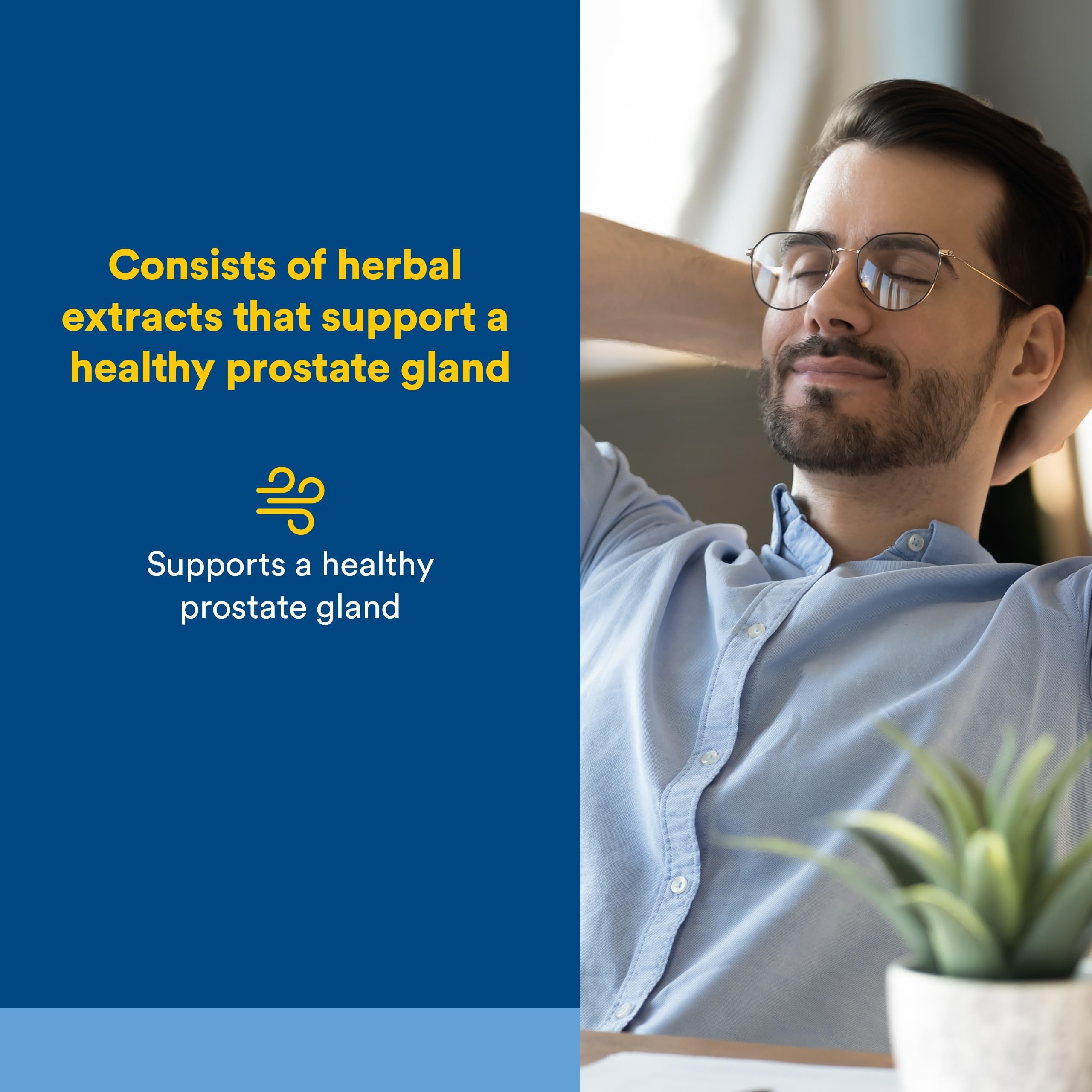 Natural Factors Prostate Health: etiqueta clara y legible con información de dosis y beneficios