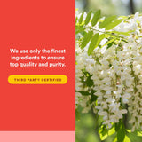Etiqueta clara de Natural Factors Quercetina Lipomicel Matrix para verificar ingredientes.