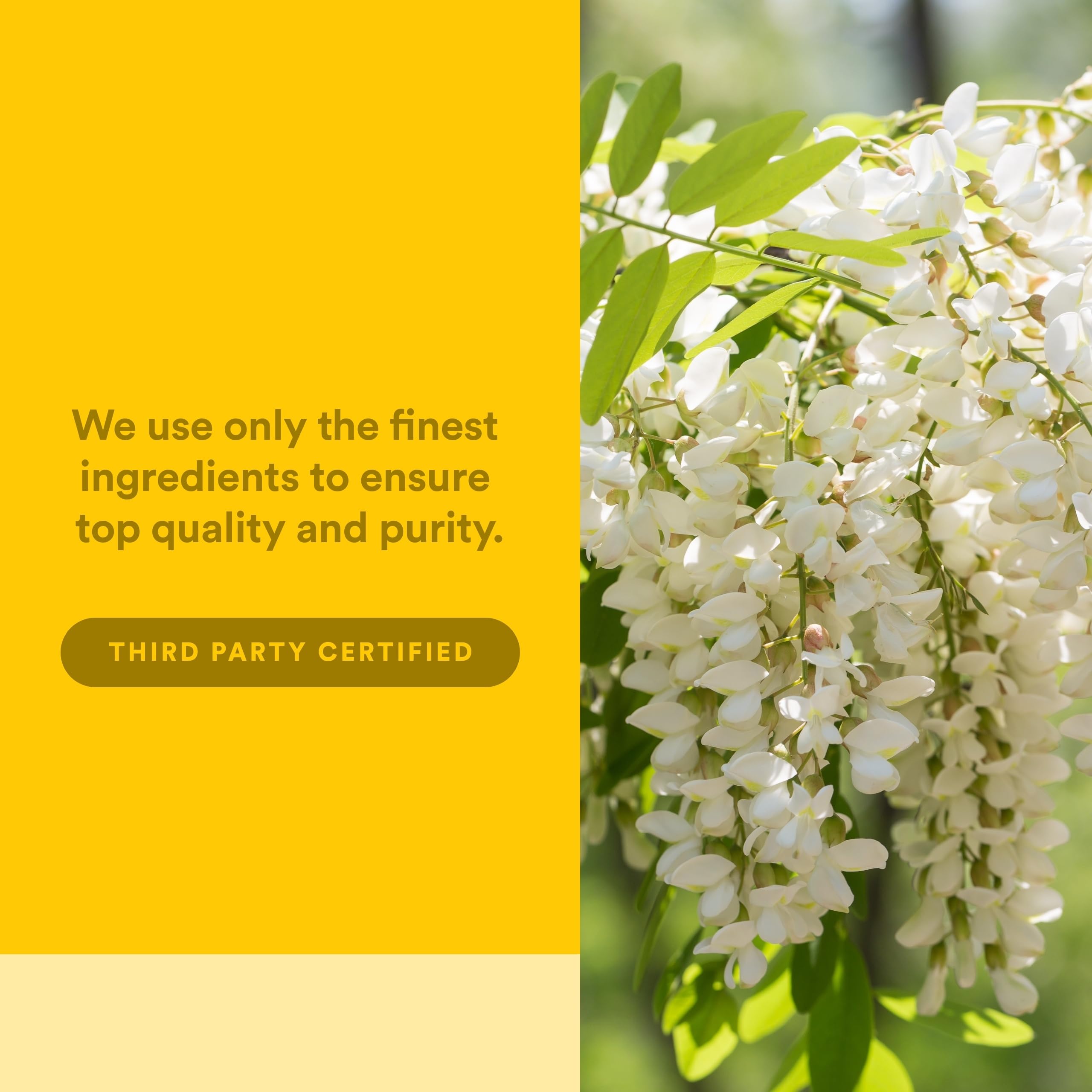 Natural Factors Quercetina Lipomicel Matrix etiqueta cercana destaca ingredientes y beneficios