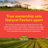 Natural Factors quercetina zinc cobre cápsulas vegetales aptas para veganos