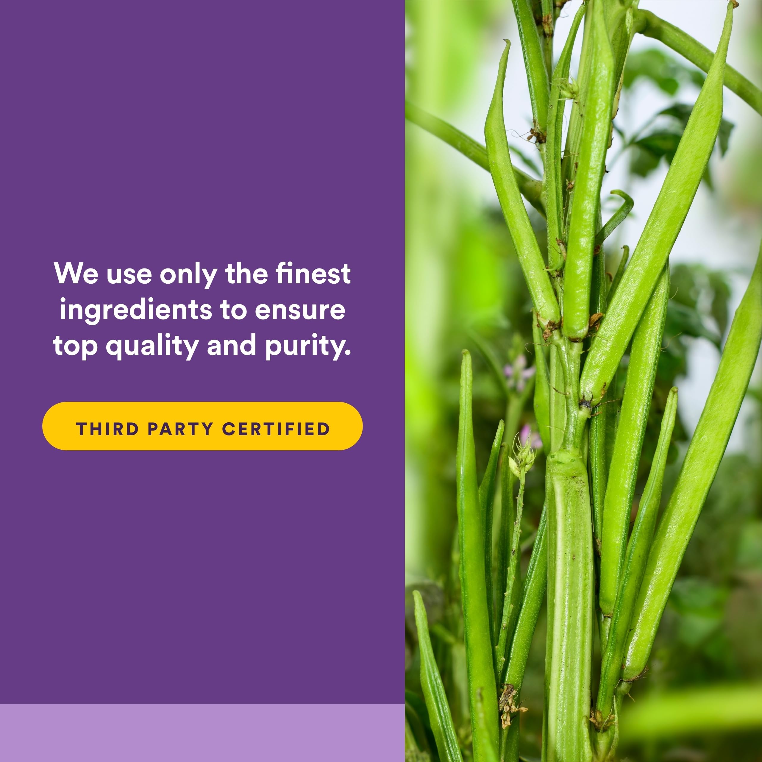 Reliefiber con certificación Low-FODMAP Monash para dietas sensibles.