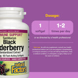 Natural Factors Sambucus: toma diaria para apoyo del tracto respiratorio superior