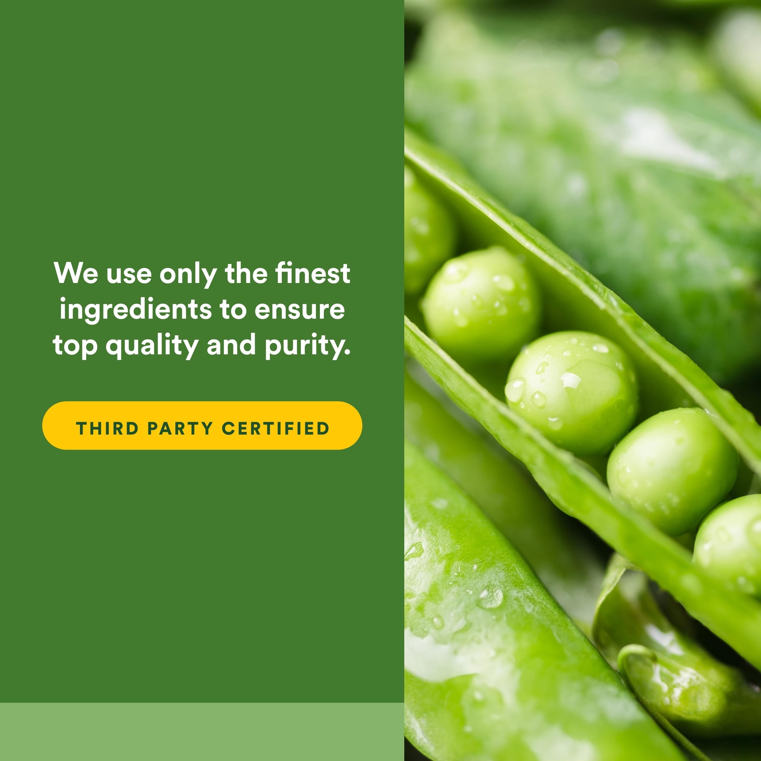 Natural Factors proteína vegana sin gluten y sin lácteos