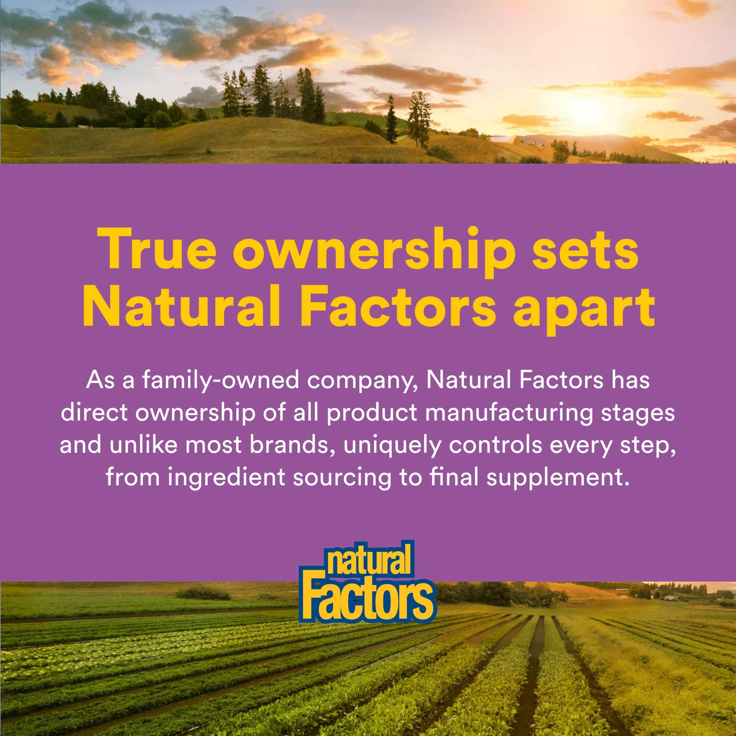 Natural Factors Melatonina tabletas masticables, sabor menta, aptas para desfases horarios.