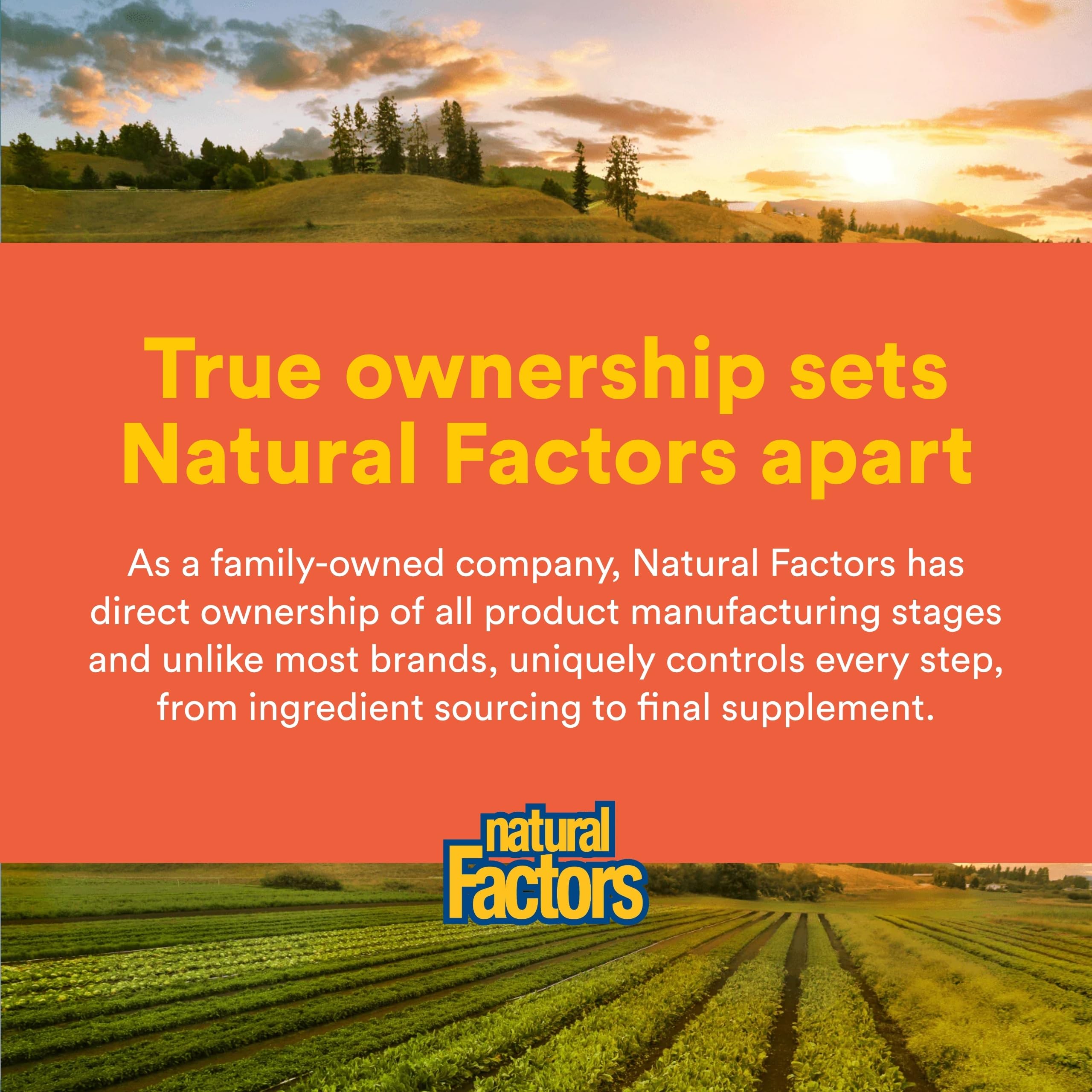 Natural Factors Vitamina C, rosa mosqueta y componentes naturales aportando sabor