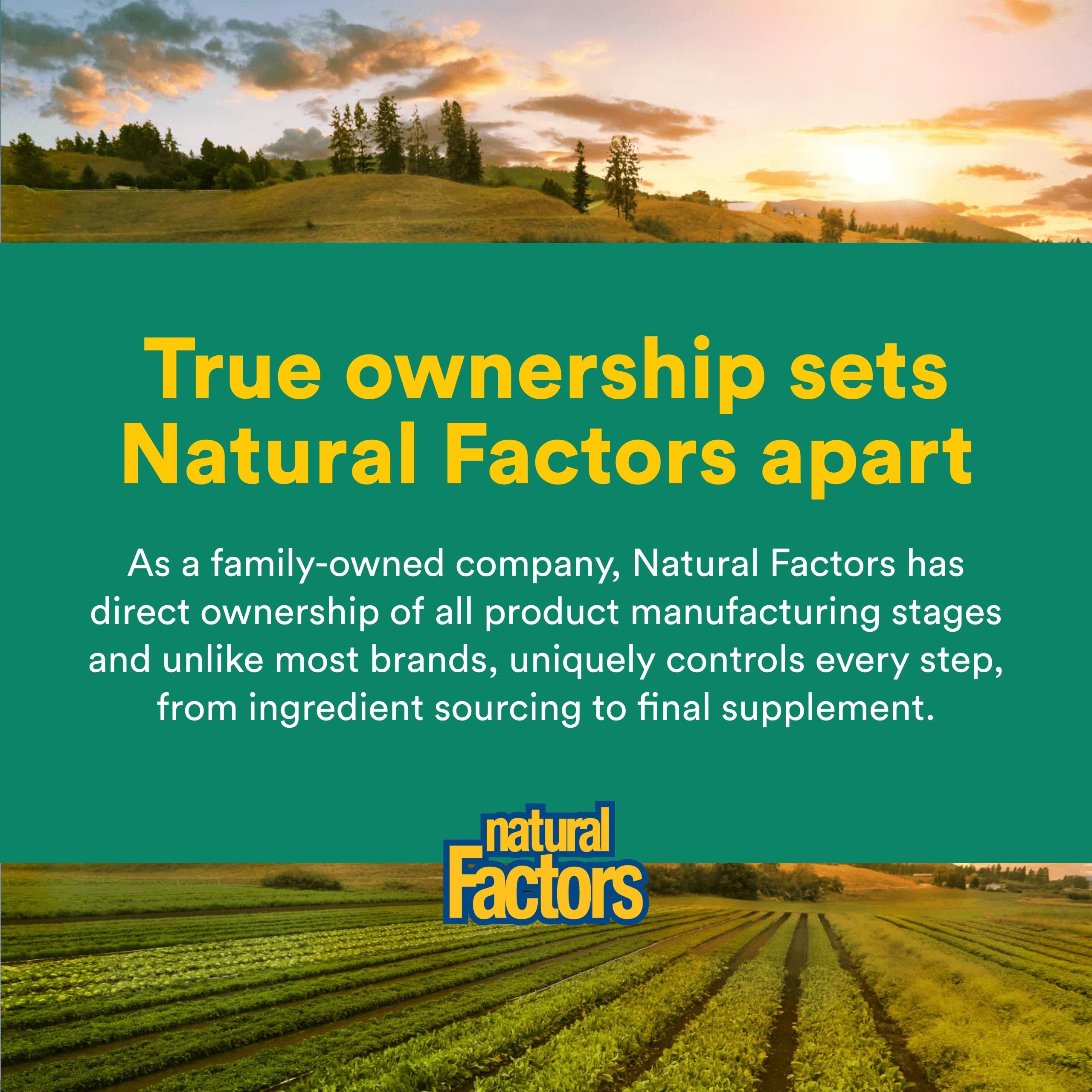 Natural Factors Vitamina C 500 mg: fórmula libre de alérgenos para niños sensibles.