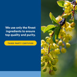 Natural Factors WellBetX Berberine envase sostenible, almacenamiento práctico