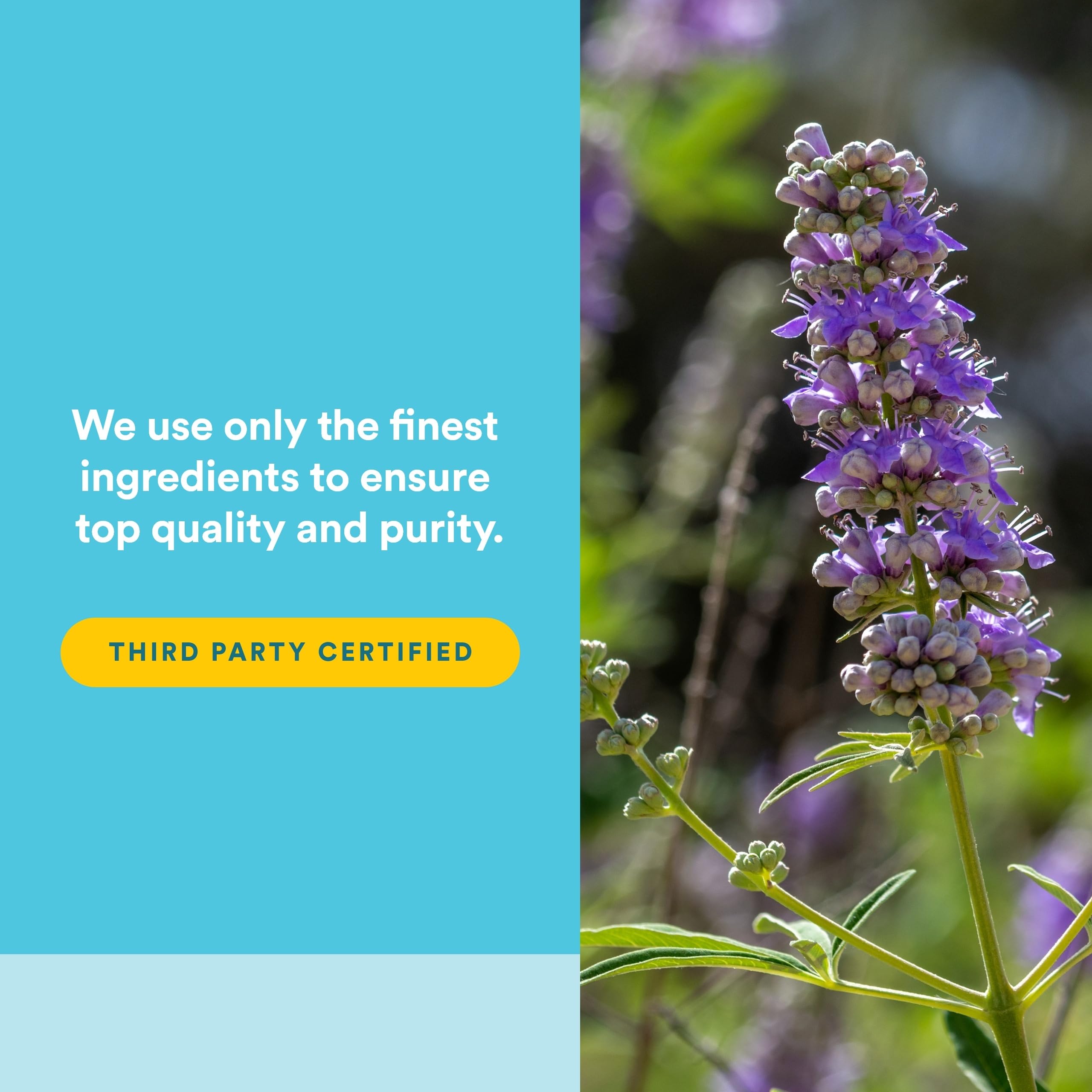 Natural Factors WomenSense Vitex usa semillas no híbridas para pureza.