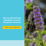 Natural Factors WomenSense Vitex usa semillas no híbridas para pureza.