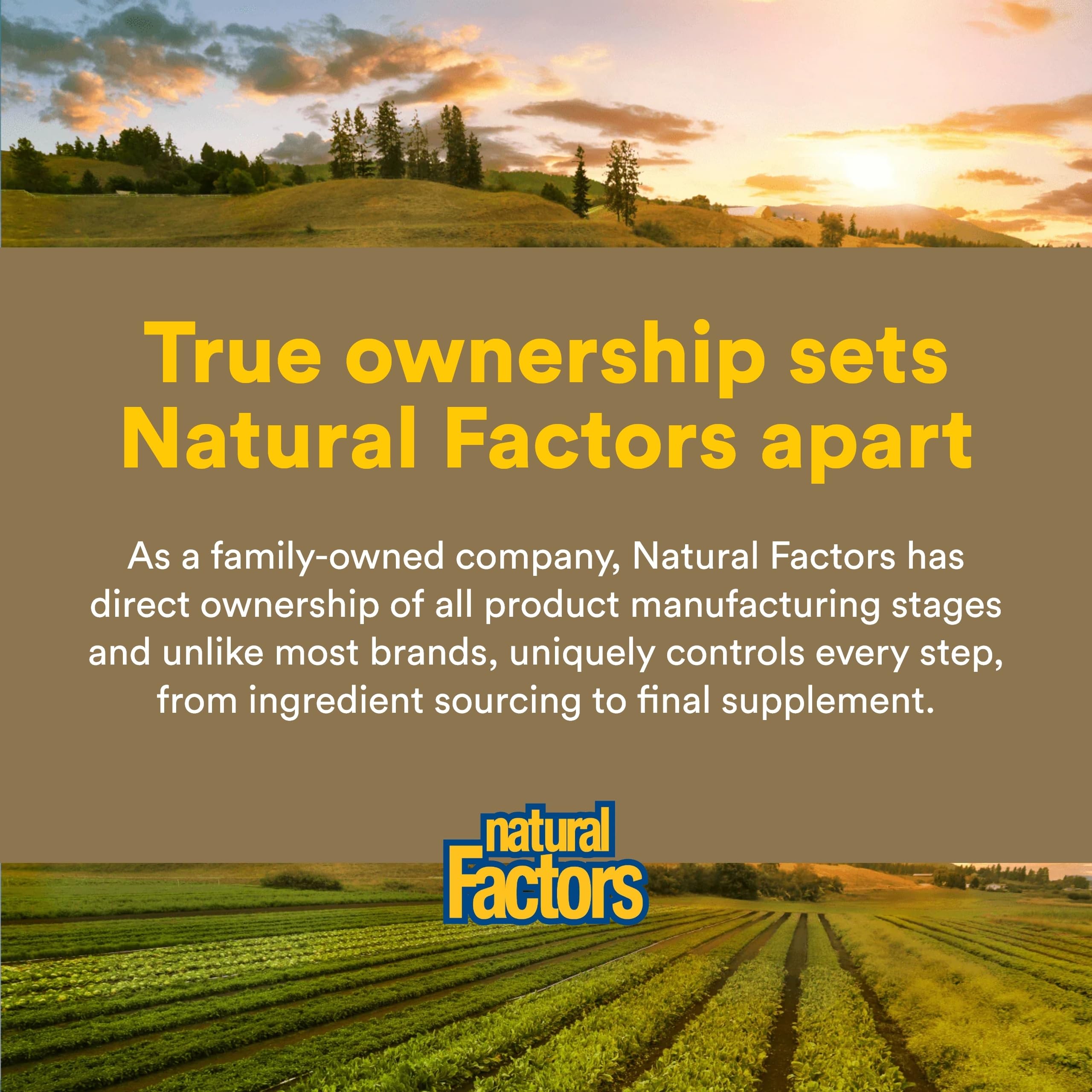 Natural Factors Zymactive Doble Fuerza, fórmula que apoya bienestar digestivo e inmunidad.