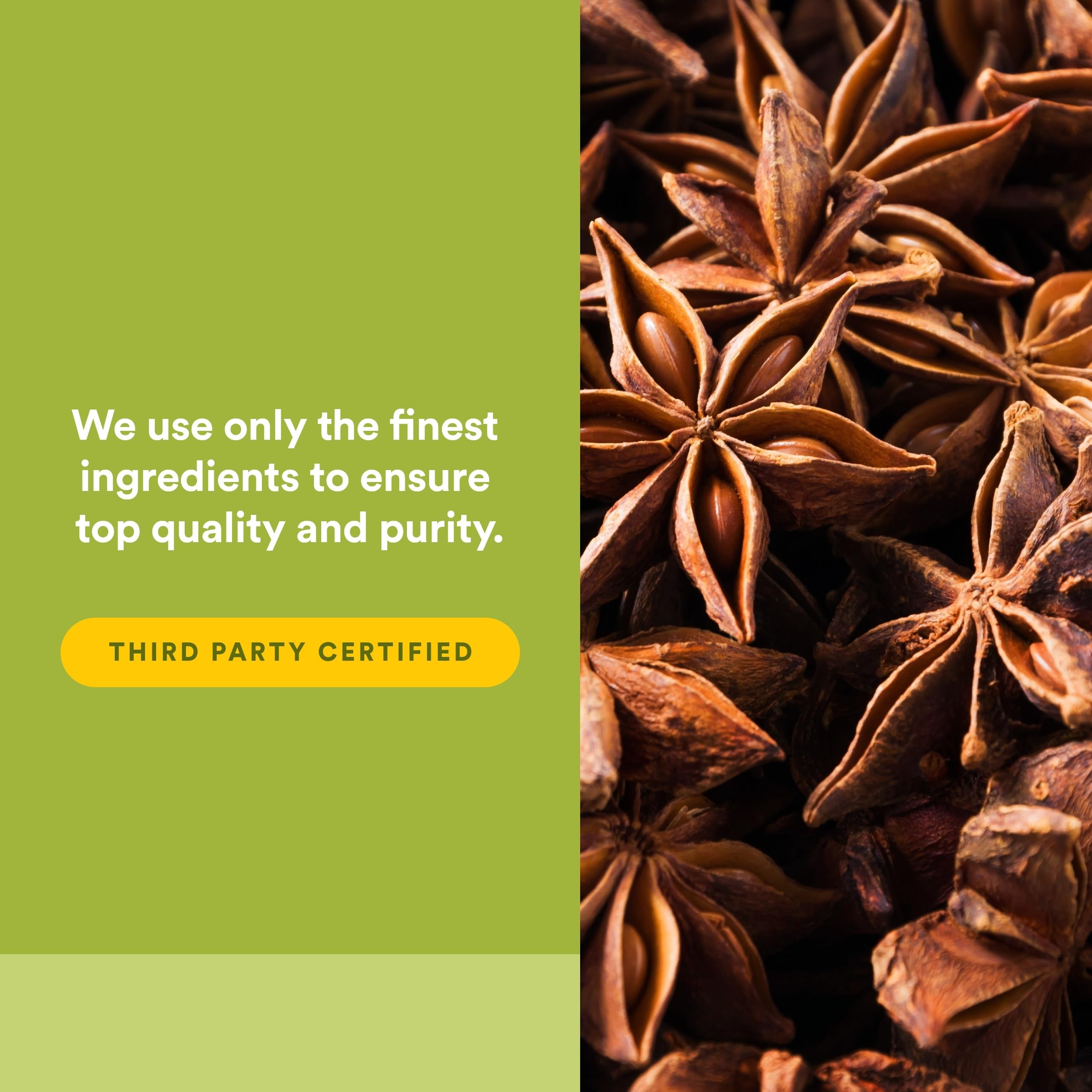 Extracto de regaliz en tabletas Natural Factors DGL para beneficios digestivos.