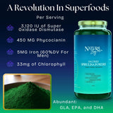 NaturalZing cuchara medición espirulina para incorporar proteína vegetal.