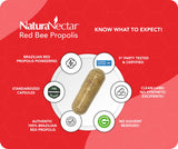 Capsulas de Propolis Rojo NaturaNectar, ideal para consumo diario.