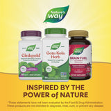 Nature's Way Gotu Kola, dosis diaria recomendada con comida.