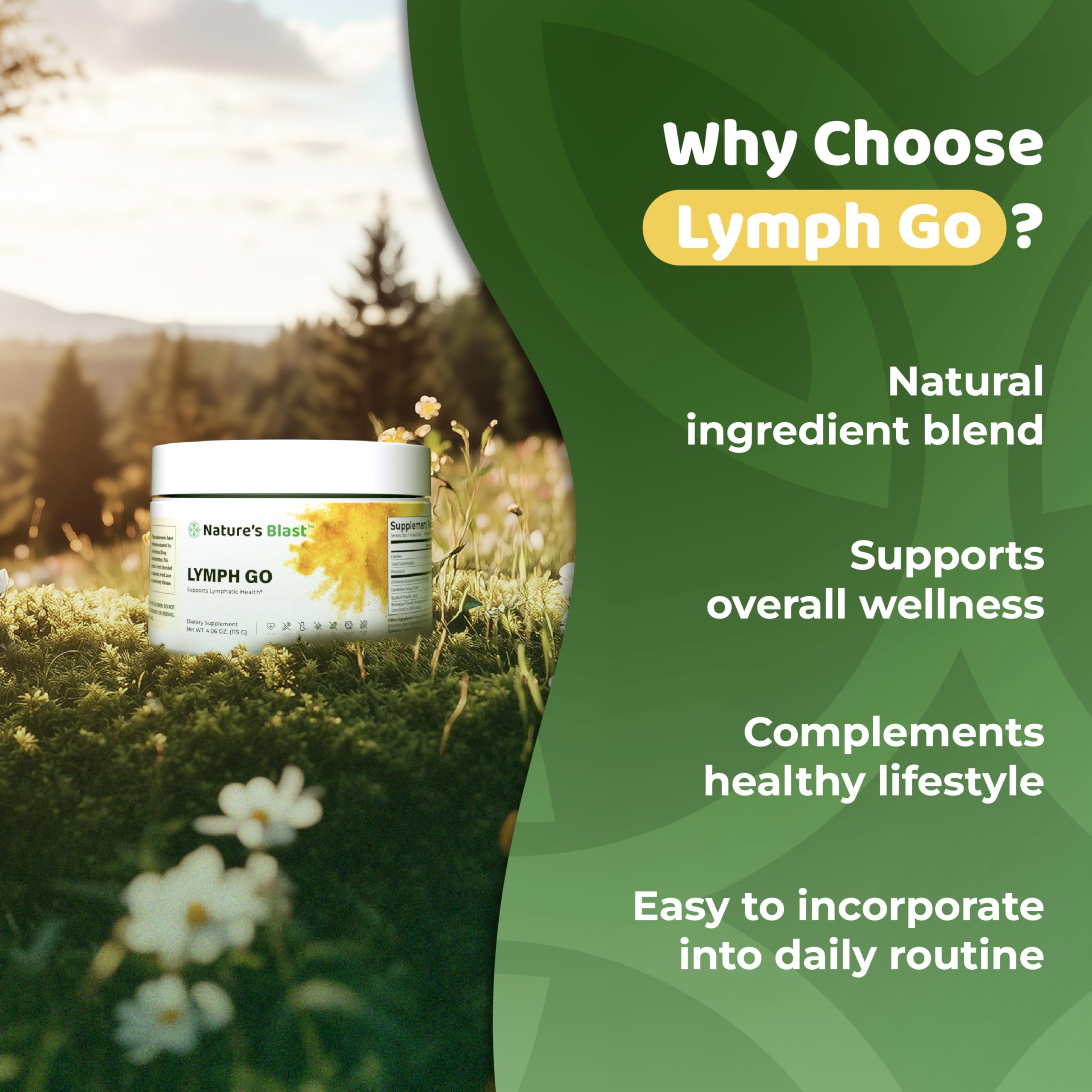 Nature's Blast Lymph Go: bromelina y bardana en fórmula natural.