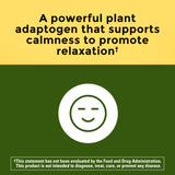 Nature Made Ashwagandha: caja del producto resaltando el empaque y la calidad