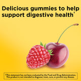 Nature Made Digestive Probiotics gomitas frasco lateral, revisión de porciones diarias.