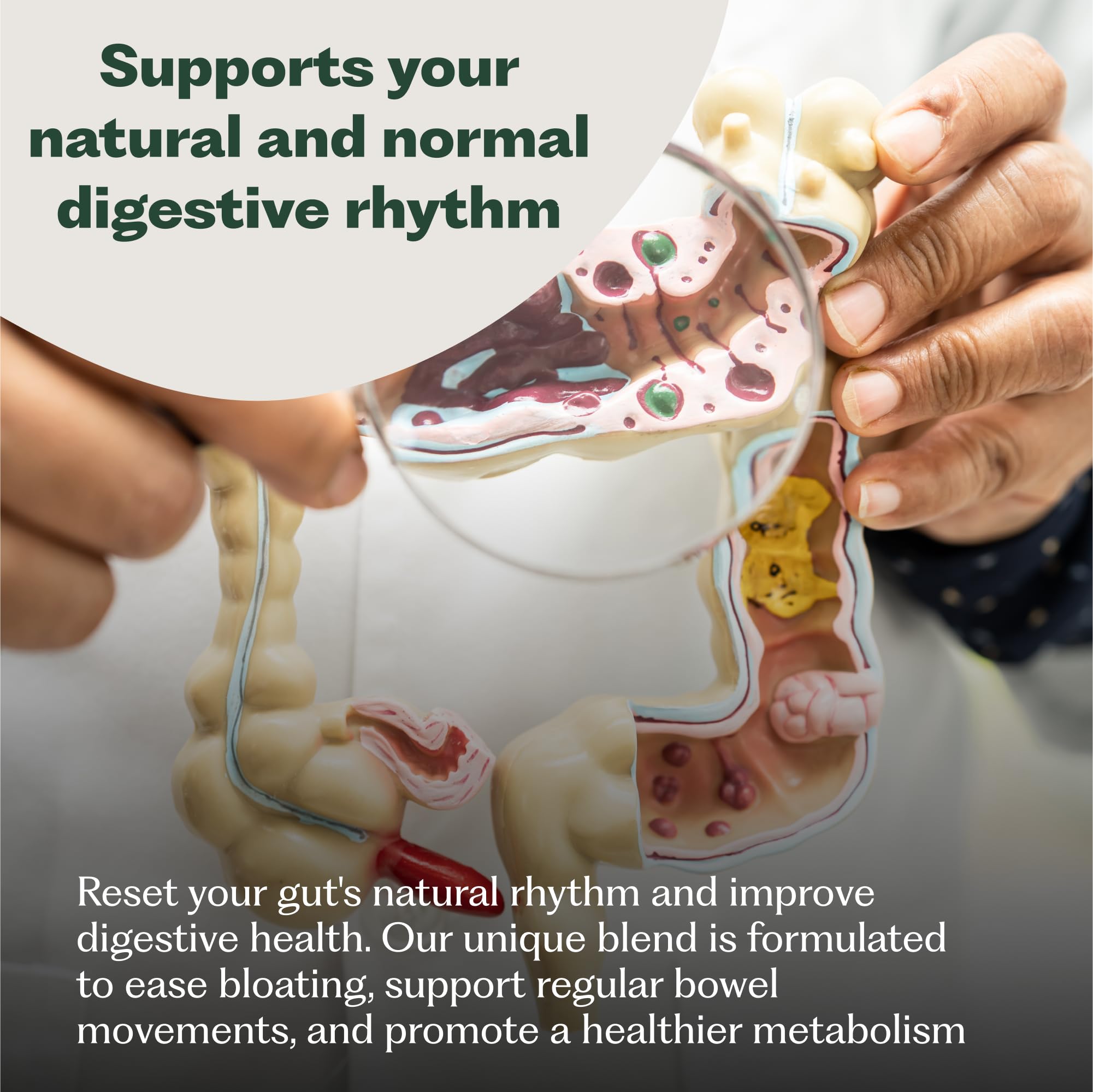 Nature M.D. GutRhythm, cápsula vegana, apoyo suave para el bienestar digestivo.