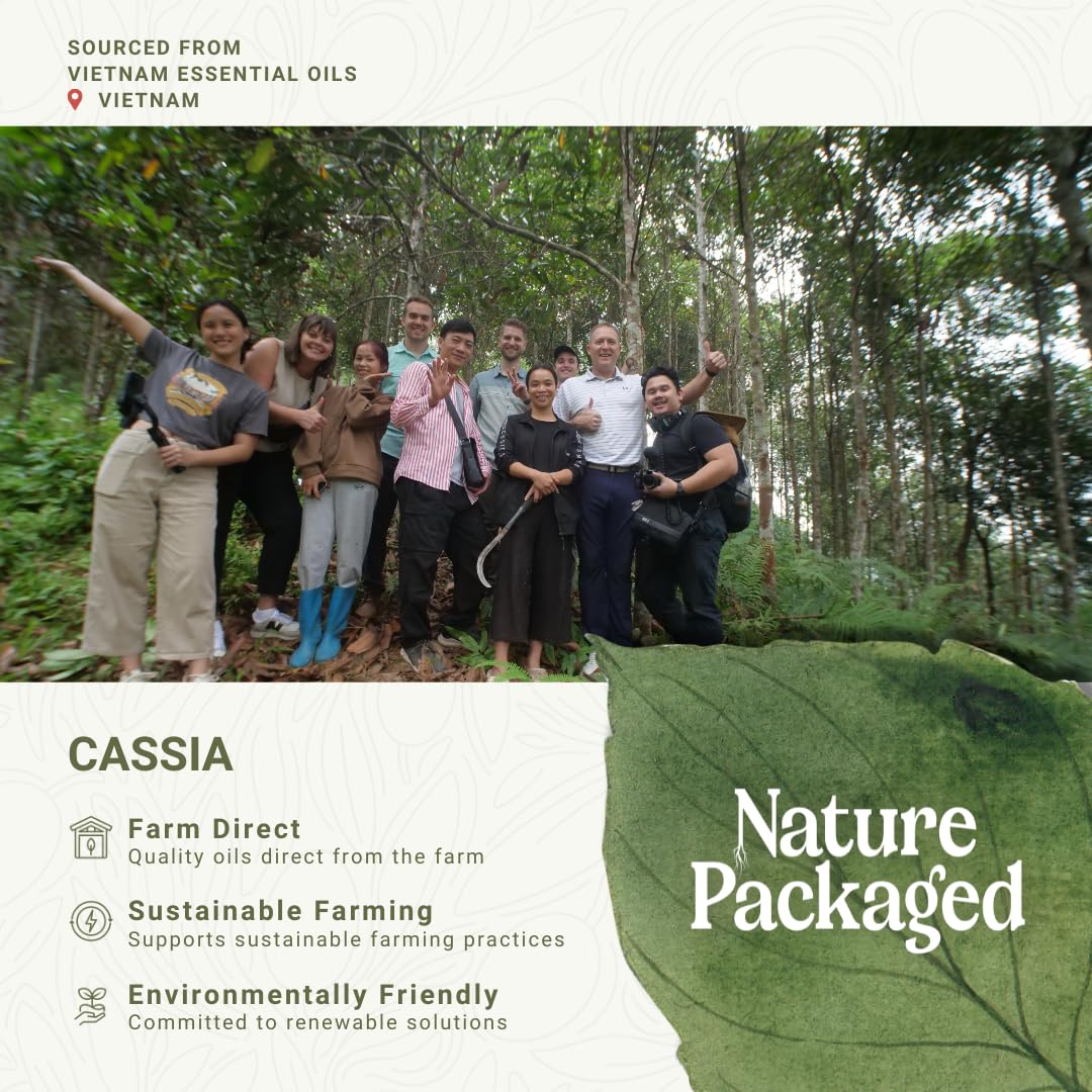 Nature Packaged aceite de casia, masaje relajante con aceite base