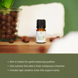 Nature Packaged Aceite de Cilantro: uso cosmético casero