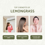 Nature Packaged aceite esencial hierba de limón, proceso de destilación al vapor para pureza