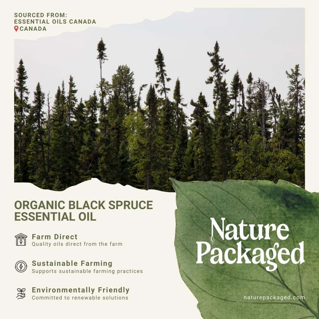 Nature Packaged Aceete Esencial Picea Negra, ambientador natural para coche o escritorio.