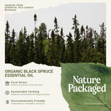 Nature Packaged Aceete Esencial Picea Negra, ambientador natural para coche o escritorio.