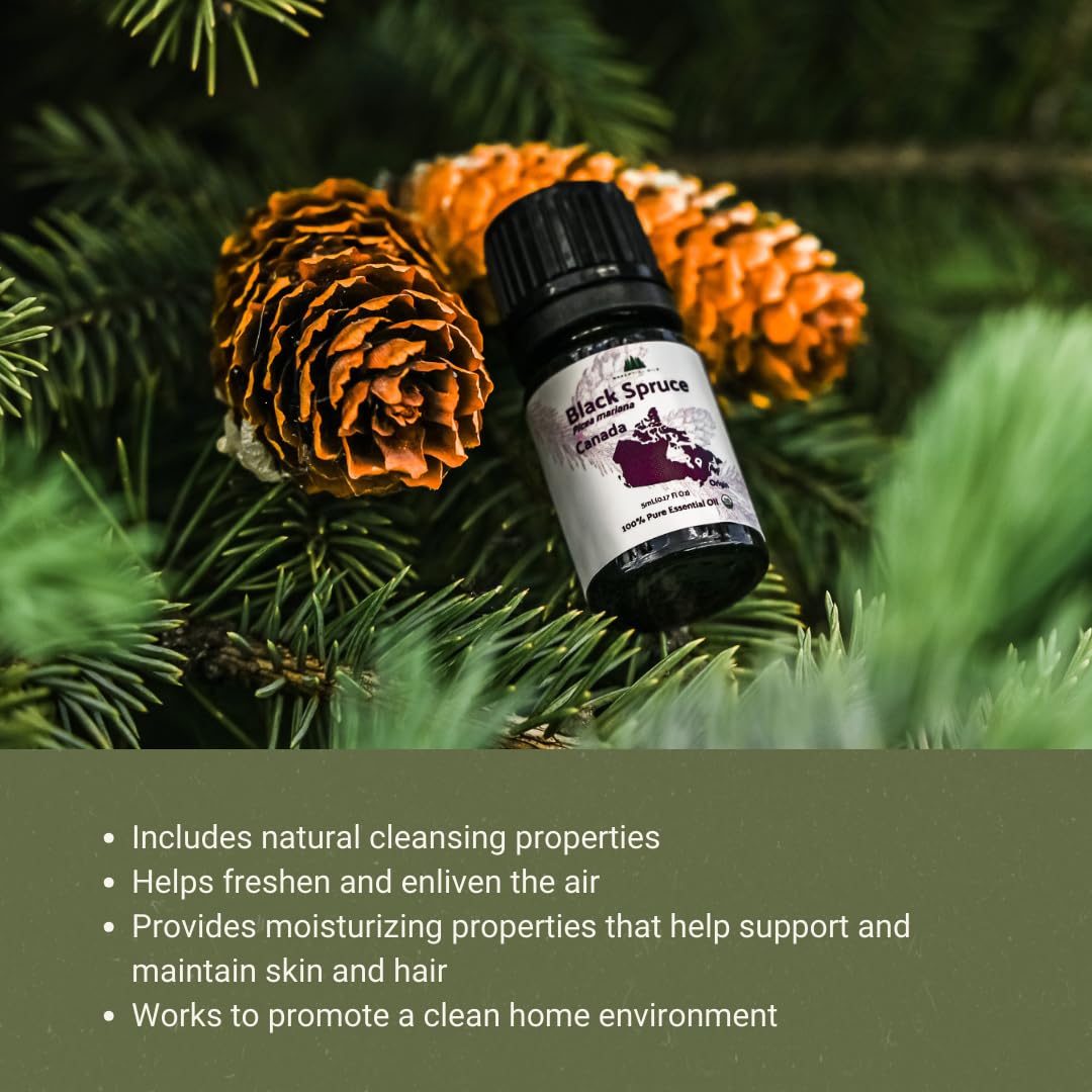 Nature Packaged Aceite Esencial Picea Negra, aroma fresco para ambientes.