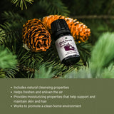 Nature Packaged Aceite Esencial Picea Negra, aroma fresco para ambientes.