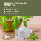 Nature Packaged Aceite de menta certificado PhytoChemia